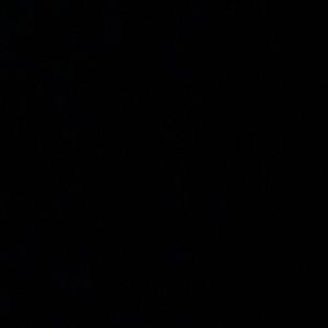 Meet your Posher, Mya